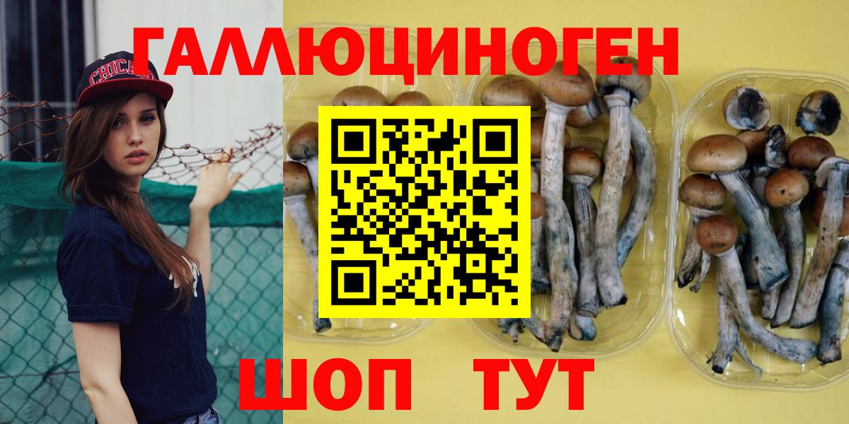 Грозный  Галлюциногенные грибы мухоморы  Вход с VPN 