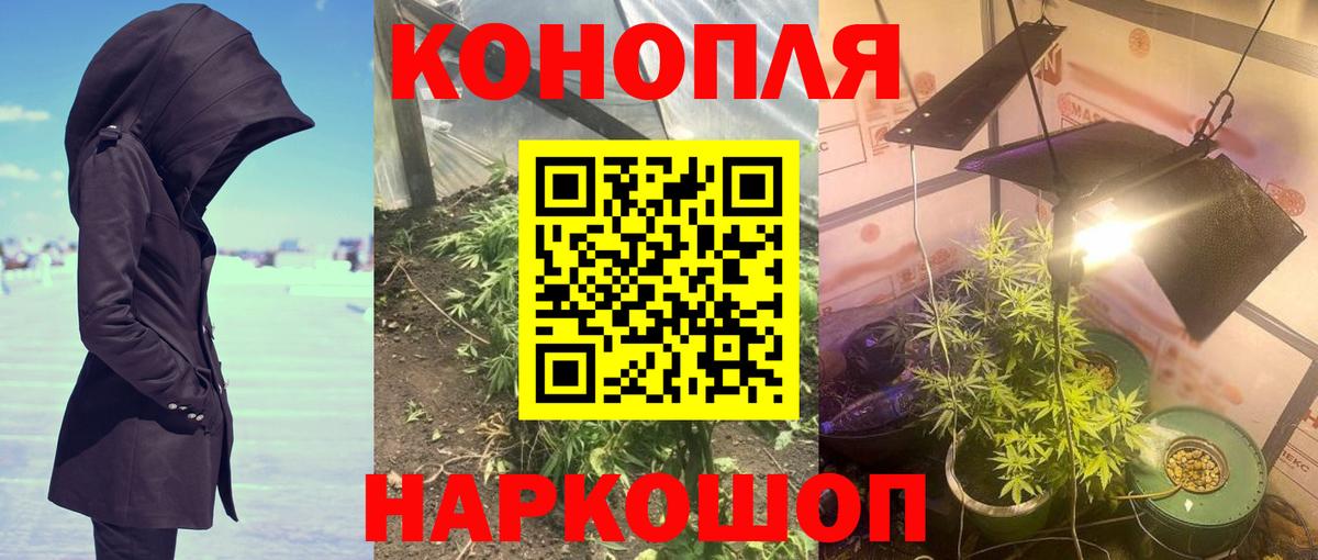 Каннабис OG Kush  Вход с VPN  Конопля сатива  Грозный  Бошки Шишки AK-47 